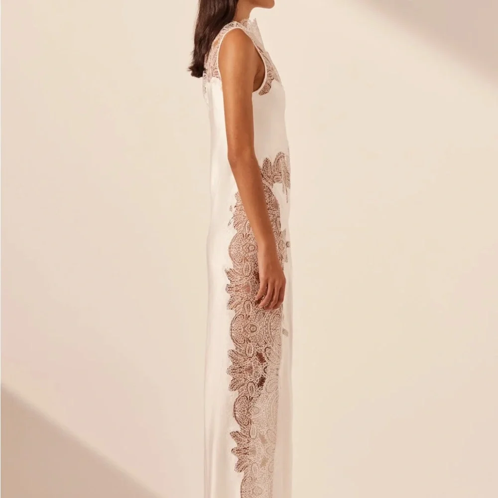 Shona Joy White and Brown Lace Maxi Dress - Picture 3 of 11